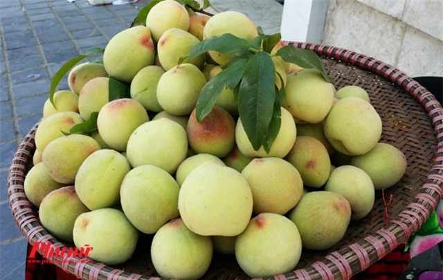 Qua dao co phai tien duoc? hinh anh 2