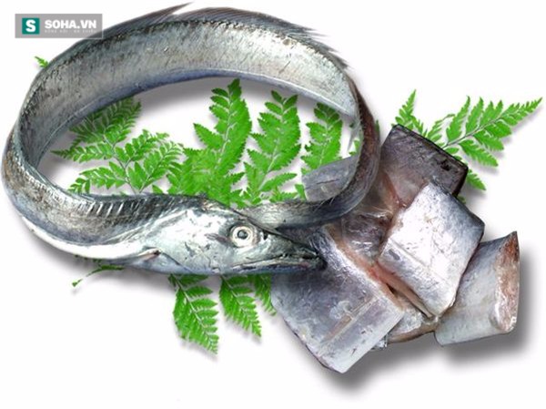 Tiền mất tật mang vì không biết những kiêng kỵ khi ăn cá - Ảnh 5.