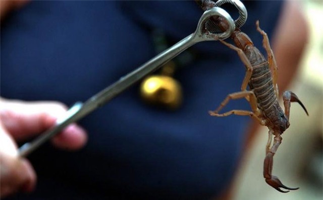 vàng, kim loại, quý, hiếm, đắt, giá trị