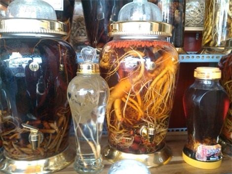 Bi hài, thú chơi sâm, đại gia, nhân sâm, thuốc quý, quý ông, dân chơi, sâm cổ, sâm Ngọc Linh