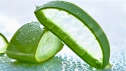 5 cách làm trắng da mặt bằng nha đam mà phụ nữ nào cũng phải biết