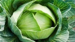 Trắng da với mặt nạ bắp cải được chế biến tại nhà với giá 5 nghìn đồng