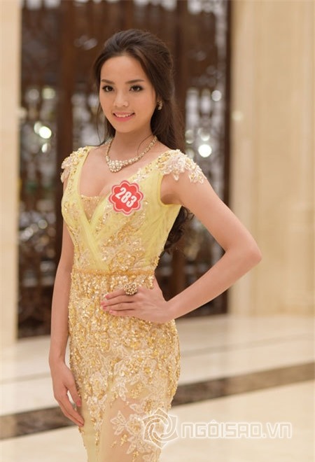 Kỳ Duyên tại HHVN 2014 5