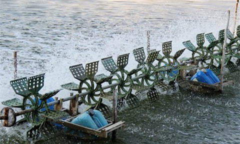 cậu nhỏ, tai nạn phòng the