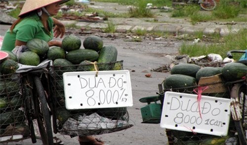 hoa quả vỉa hè, dân buôn hoa quả vỉa hè, luật ngầm của dân buôn bán hoa quả, hoa quả, hoa quả vỉa hè ở Hà Nội