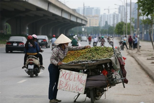 hoa quả vỉa hè, dân buôn hoa quả vỉa hè, luật ngầm của dân buôn bán hoa quả, hoa quả, hoa quả vỉa hè ở Hà Nội