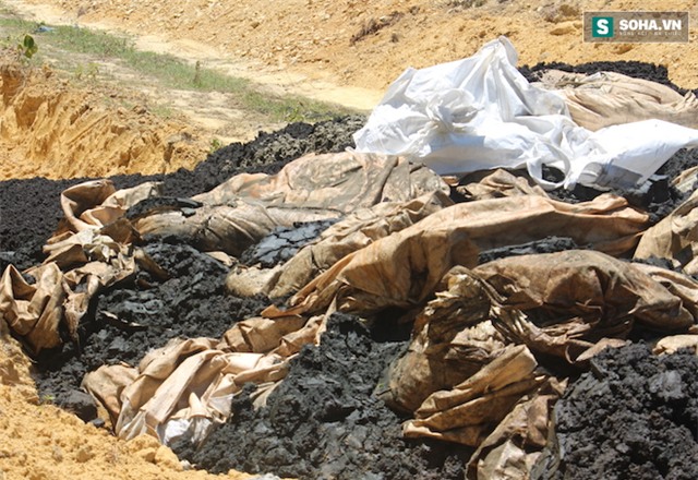 GĐ Cty môi trường: Xin 100 tấn chất thải Formosa về... bón cho cây - Ảnh 4.