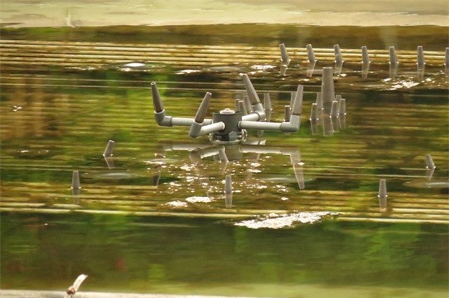 Dàn nhạc nước 200 tỷ, Dương Anh Điền, Đảng ủy Hải Phòng, Kiểm điểm Bí thư Hải Phòng, Ủy ban kiểm tra