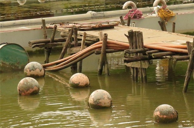 Dàn nhạc nước 200 tỷ, Dương Anh Điền, Đảng ủy Hải Phòng, Kiểm điểm Bí thư Hải Phòng, Ủy ban kiểm tra