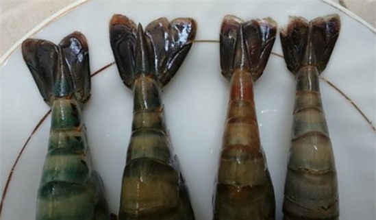 20150122075741_tom1_bb_baaad9s_B9s