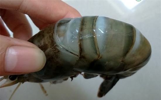 20150122075741_tom2_bb_baaab_Xy_Osf