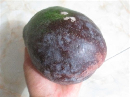 Sự thật về xoài tím 