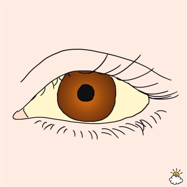 Nhìn mắt bắt bệnh - Ảnh 1.