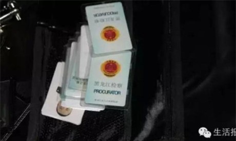 Cả gan diễn sâu ở sở cảnh sát, tên lưu manh tự chui đầu vào rọ - Ảnh 4.