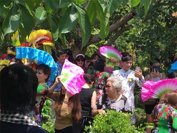 đám cư ới thanh bạch 6