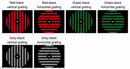 Tìm ra cách truyền thẳng kiến thức vào não bộ con người - 2