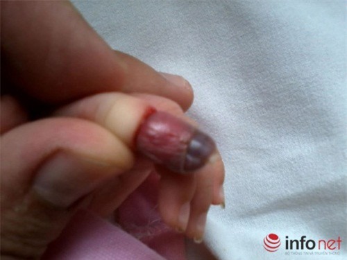 quần áo “sát nhân”, mẹ Việt, hàng Tàu, Trung Quốc, cha mẹ,