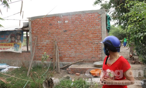 mất nhân tính, giết người, chấn động, chôn xác, giết vợ