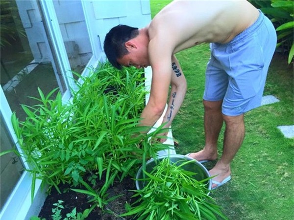 Là một cầu thủ đình đám của Việt Nam nhưng Công Vinh rất thích làm những công việc này. Trong khuôn viên nhà vợ chồng Công Vinh - Thủy Tiên trồng rất nhiều rau củ, cây trái. - Tin sao Viet - Tin tuc sao Viet - Scandal sao Viet - Tin tuc cua Sao - Tin cua Sao