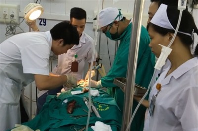 Nguoi dan ong nguy kich vi ca ro chui vao khi quan hinh anh 1