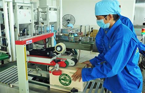 Đóng gói gạo chất lượng cao để xuất khẩu tại một doanh nghiệp. Ảnh: QH