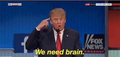 8 sự thật ai cũng cần biết về bộ não nhớ nhớ, quên quên của chúng ta - Ảnh 1.