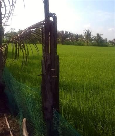 tai nạn bất ngờ, kỹ năng sống