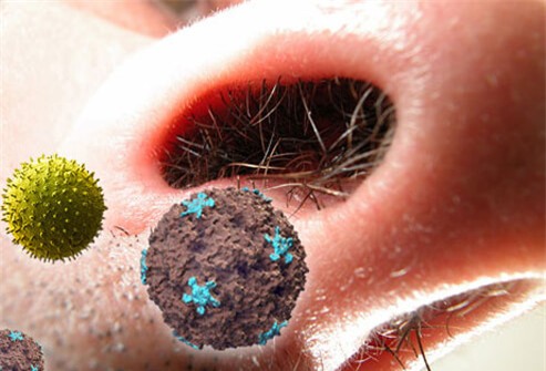 Hàng triệu người vô tư nhổ lông mũi mà không biết tác hại kinh hoàng này! - Ảnh 2.