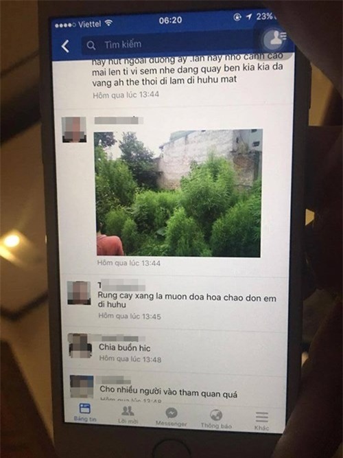 Trồng cần sa, chụp ảnh