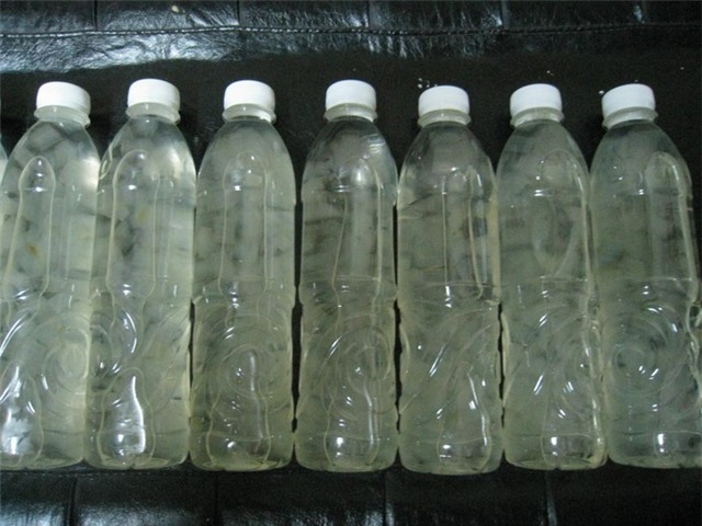 Các loại thức uống ngon lạ hè này bạn đã thử chưa?