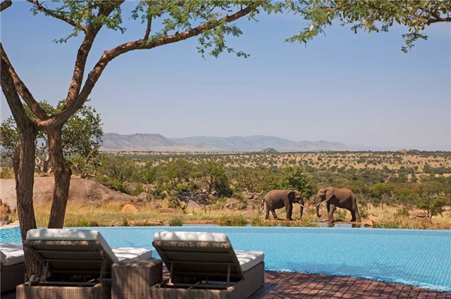 Nhung be boi vo cuc tuyet nhat the gioi hinh anh 1