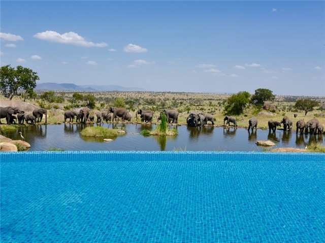 Nhung be boi vo cuc tuyet nhat the gioi hinh anh 2