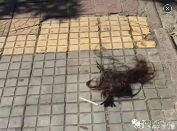 Gã chồng lăng nhăng ra mặt bảo vệ bồ trước màn đánh ghen của vợ - Ảnh 3.