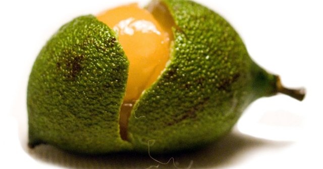 ky la chanh vo xanh ruot vang nhu nghe, an duoc ca... hat hinh anh 11