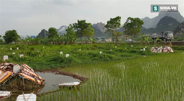 Ám ảnh khó tin ở thôn có 80 bà góa, 15 ông sống kiếp cô đơn - Ảnh 13.