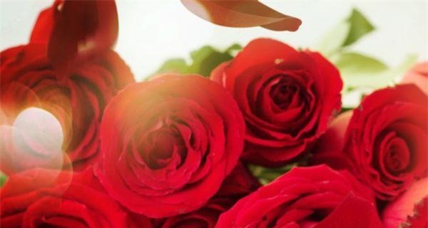 5 loại hoa có thể thêm vào thực đơn ăn kiêng giảm cân của bạn