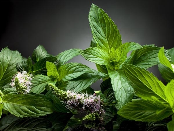 Giảm mỡ bụng cực nhanh với những nguyên liệu từ nhà bếp