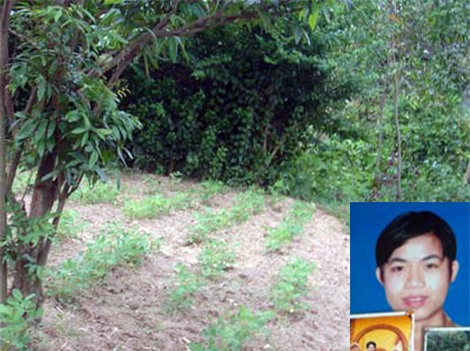 c41b0eaa-7eb5-4adf-8129-65c59c210ac6