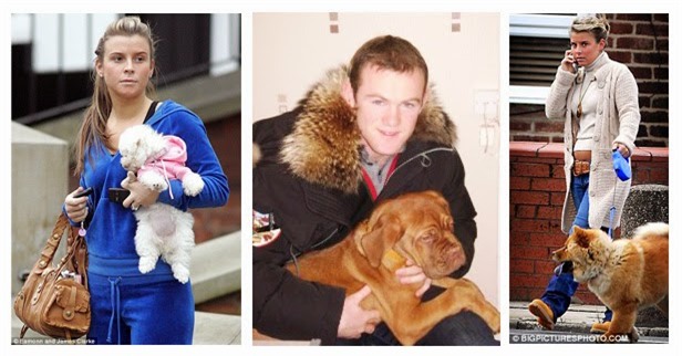 Sướng như... chó nhà sao bóng đá - Ảnh 2.