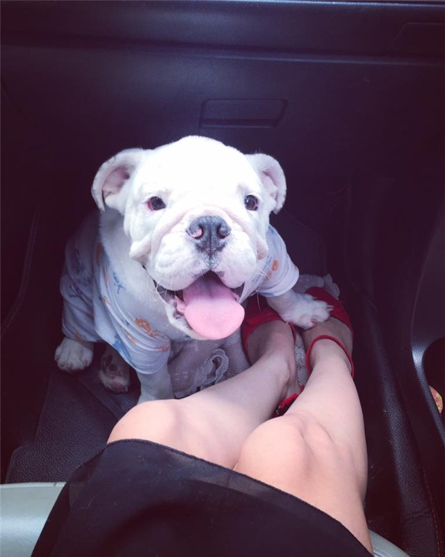 Hết bị chê điểm tốt nghiệp thấp lẹt đẹt Thúy Vi lại bị tố đánh người - Ảnh 8.