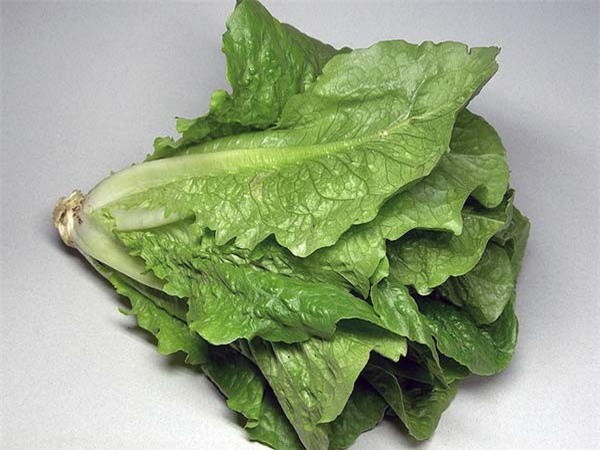 8 loai rau xanh giup thai doc co the hinh anh 3