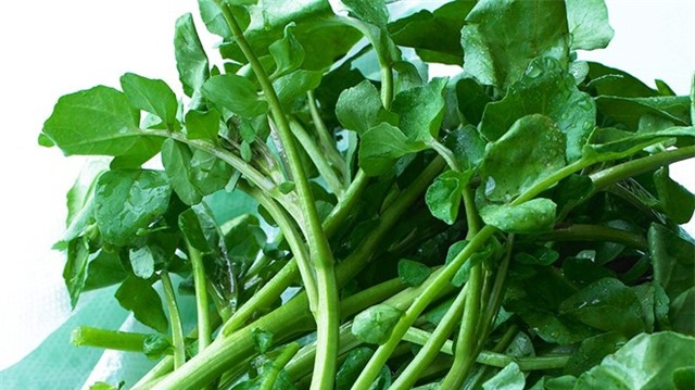 8 loai rau xanh giup thai doc co the hinh anh 6