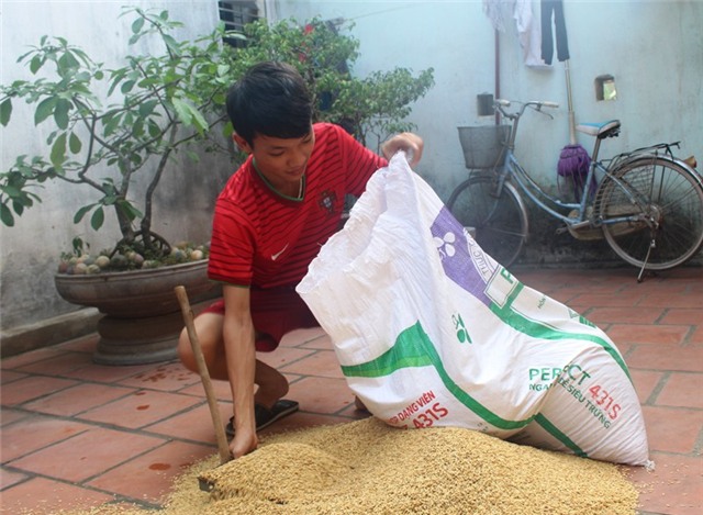 Hoàn cảnh gia đình khó khăn, nhưng Nguyên luôn nỗ lực vươn lên trong học tập