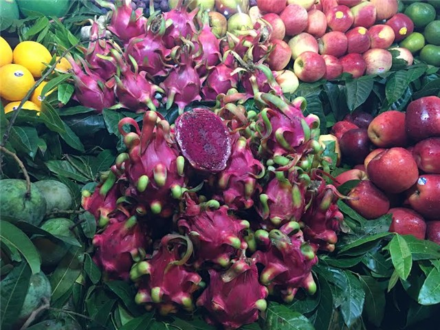 thanh long, thanh long ruột đỏ, thanh long ở Hà nội, thanh long đổ đống vỉa hè, nhà vườn thanh long, thanh long giá rẻ