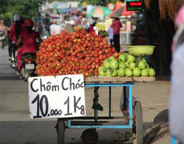 TP.HCM: Trái cây vỉa hè giá rẻ như cho nhưng vẫn ế
