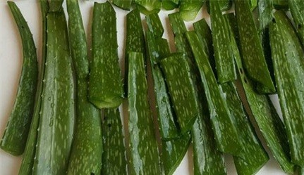 nha dam ngam giam-2-blogtamsuvn