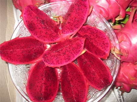 thanh-long-ngon-5