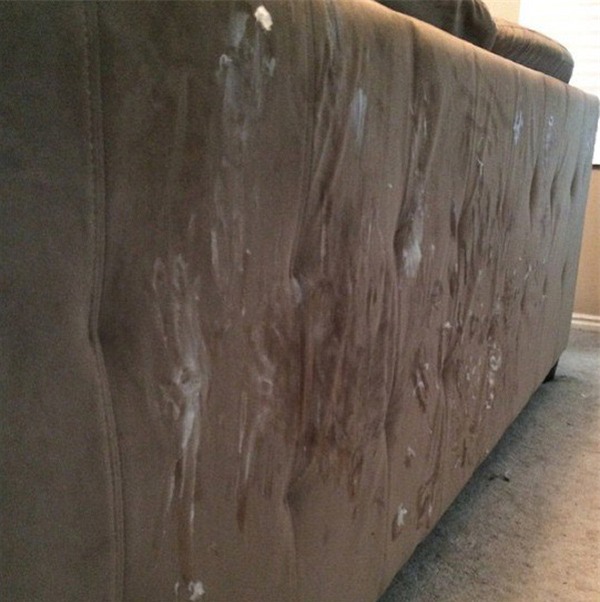 Ảnh hài hước về nhà có con nhỏ