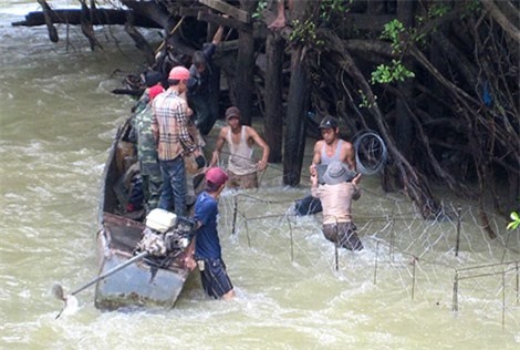 cá khổng lồ, câu cá khổng lồ, sông chảy ngược, cần thủ, câu cá, cá lăng khổng lồ, cá sông
