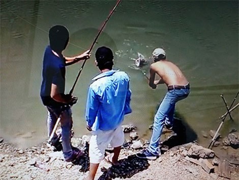 cá khổng lồ, câu cá khổng lồ, sông chảy ngược, cần thủ, câu cá, cá lăng khổng lồ, cá sông